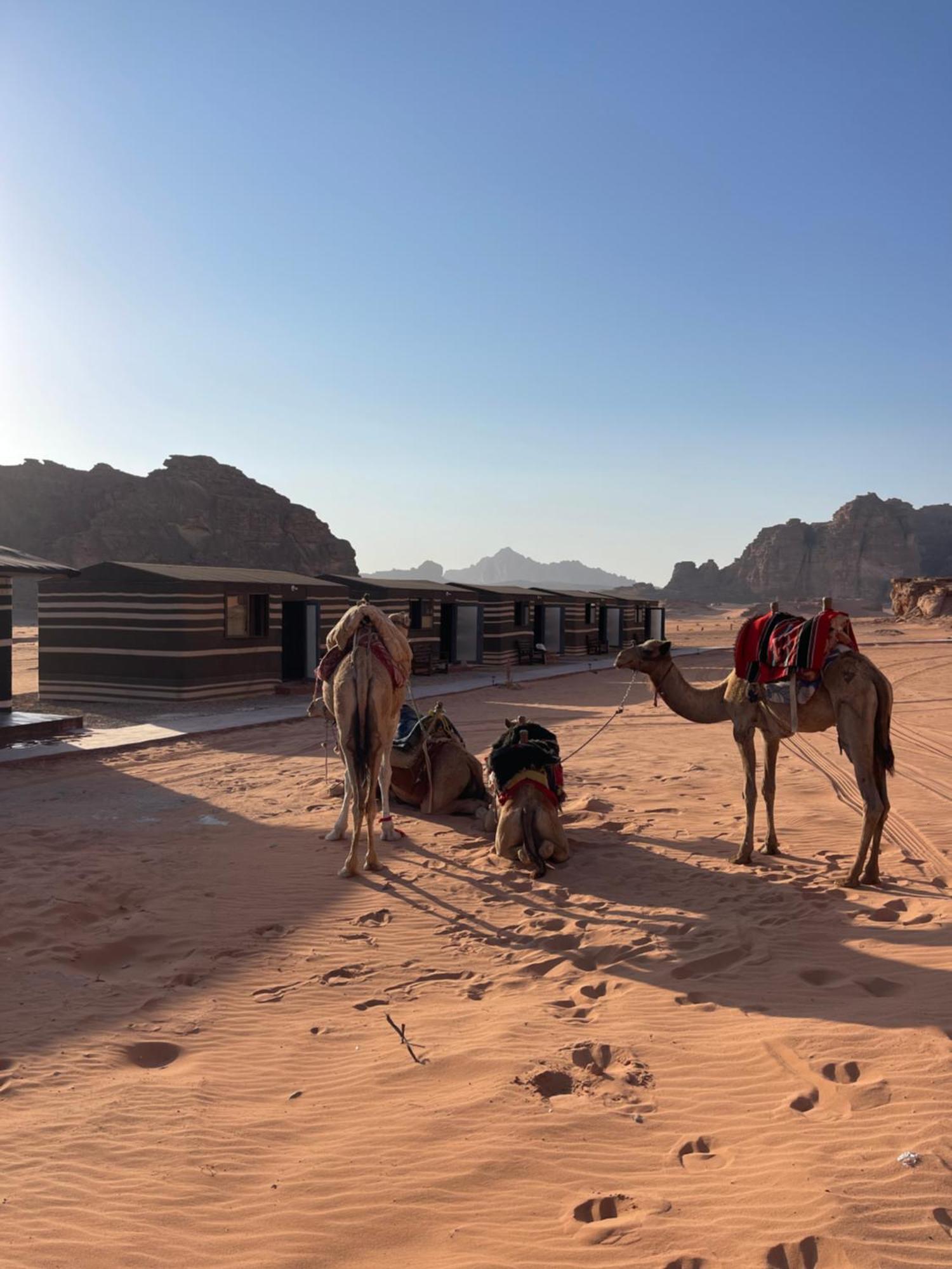 Wadi Rum Star Camp Εξωτερικό φωτογραφία